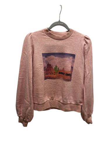 סווטשירט/ קפוצ'ון Ganni