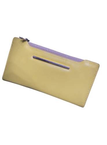 נרתיק/ ארנק